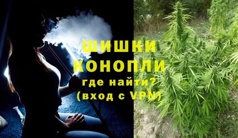 Конопля SATIVA & INDICA  kraken как войти  Андреаполь 